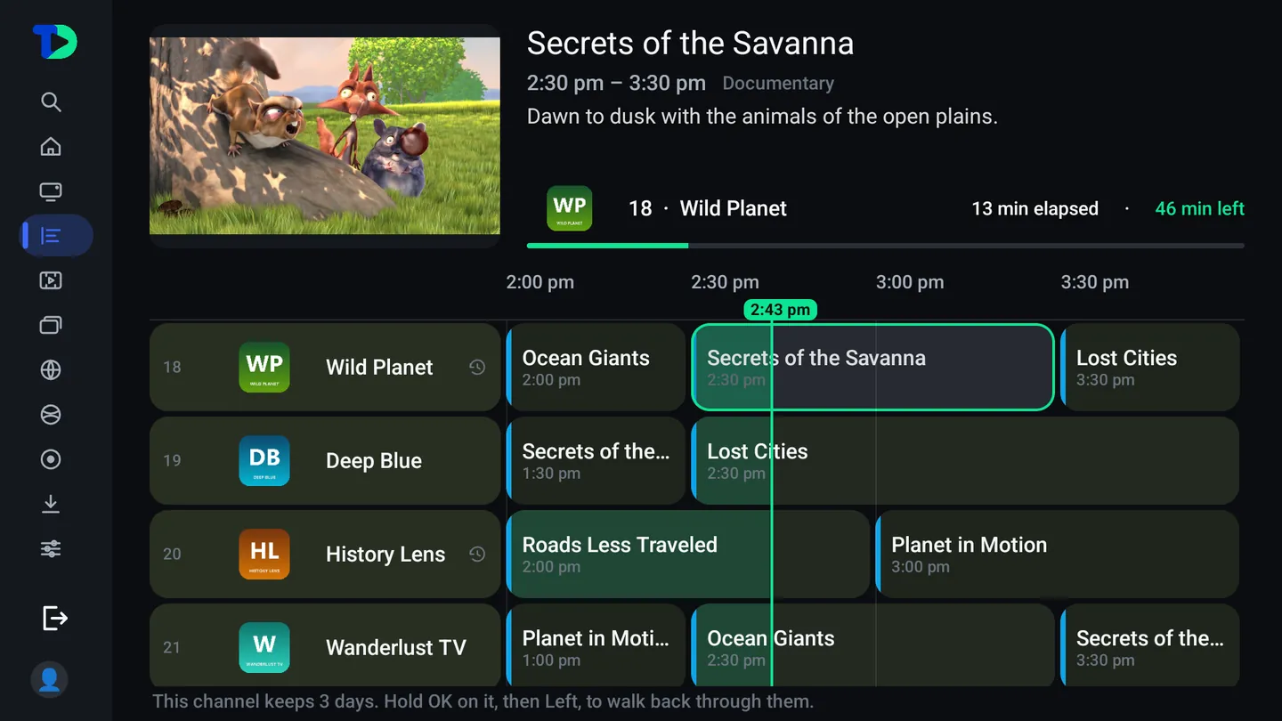 The program guide: channel rows with logos and full names, a time ruler, the current-time line, and a preview panel for the highlighted program.