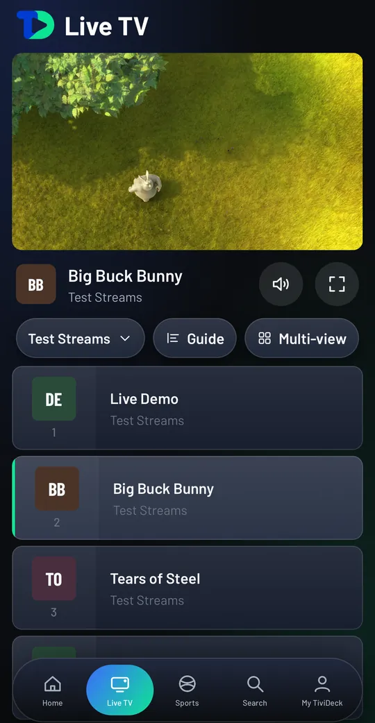 TiviDeck on an iPhone: Live TV with the channel playing at the top, Guide and Multi-view buttons, the channel list and the tab bar along the bottom.