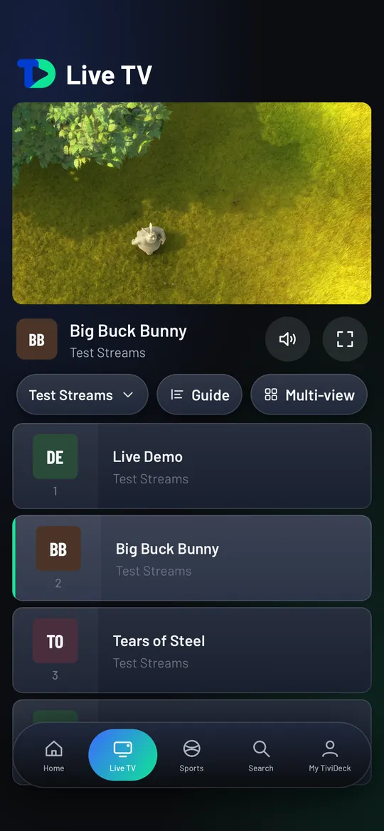 Live TV on an iPhone: a test stream playing at the top with sound and full-screen buttons, Guide and Multi-view, and the channel list.