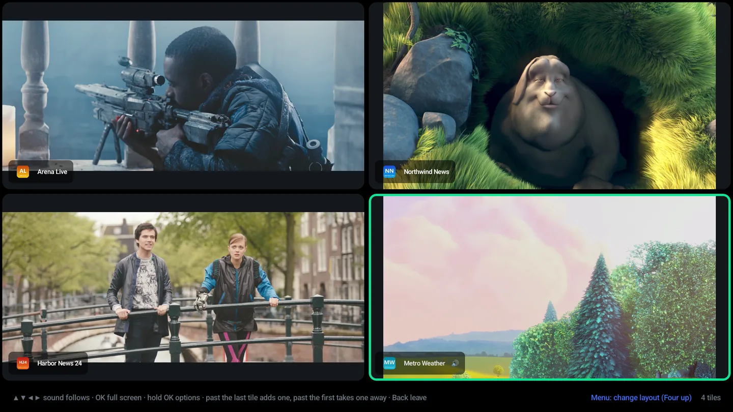 Multi-view with four channels playing at once in a grid.