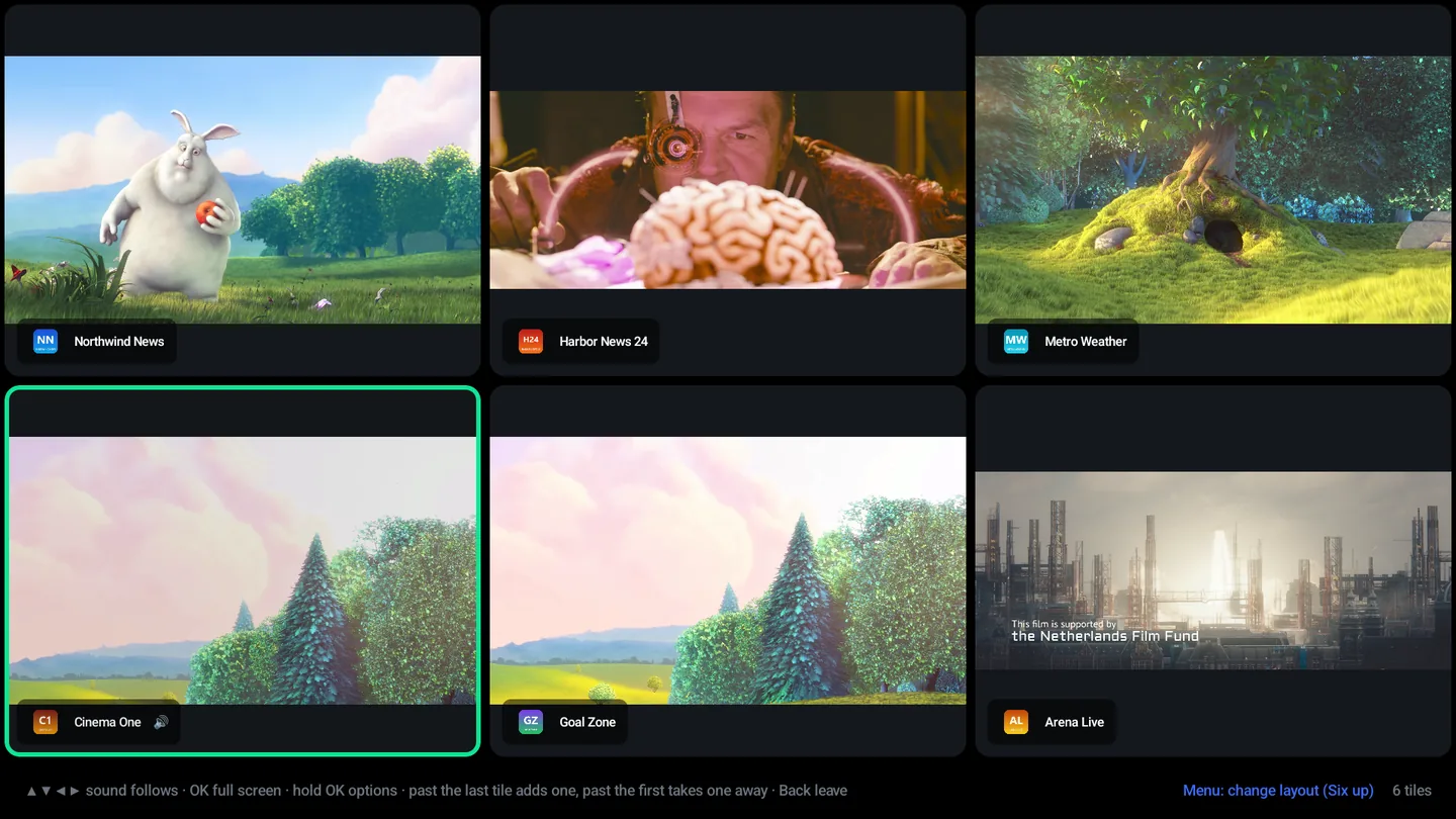 Multi-view with six channels playing at once in a three-by-two grid, each tile labeled with its channel.