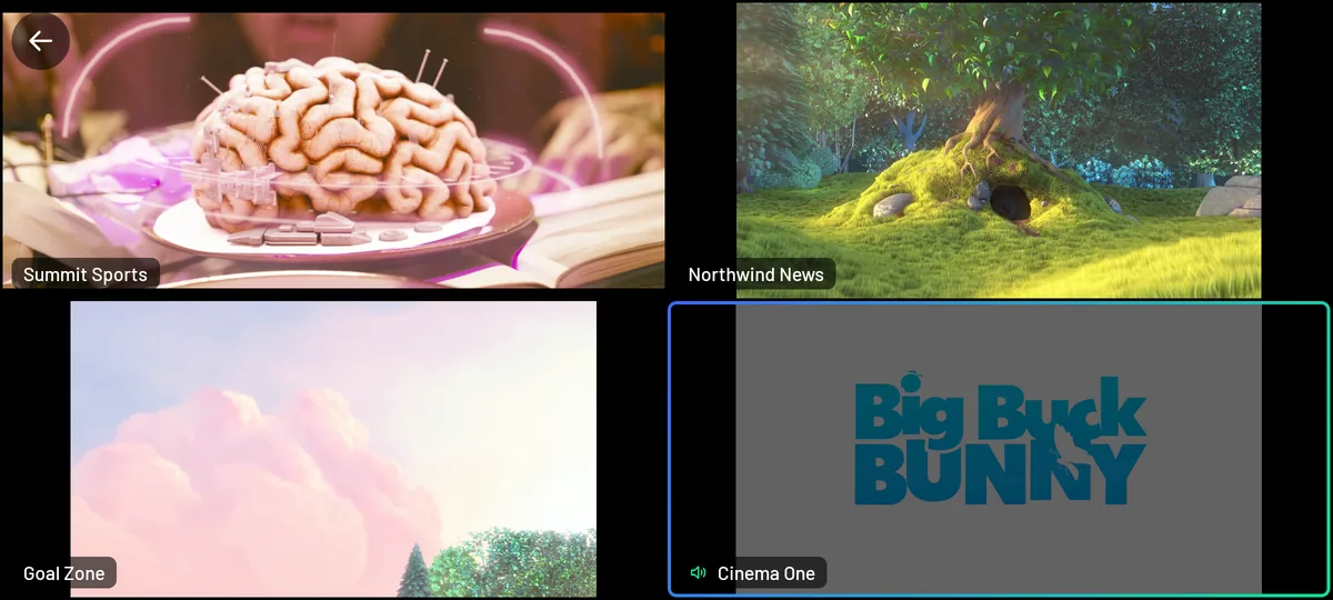 Multi-view on a phone held sideways: four channels playing two by two, Summit Sports, Northwind News, Goal Zone and Cinema One, with the sound on Cinema One marked by a speaker and its tile outlined.